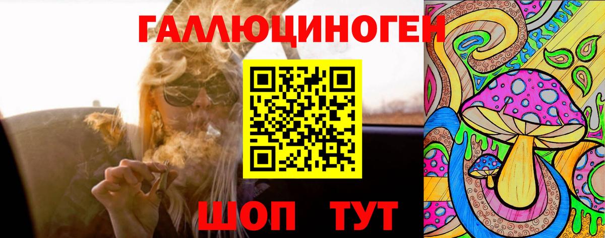 как найти наркотики  Галлюциногенные грибы Psilocybe  Бердск  Вход с VPN  Галлюциногенные грибы Psilocybe 